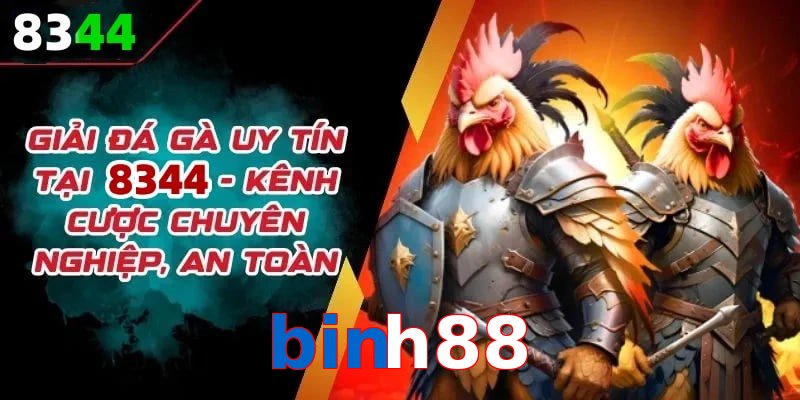 Đơn vị đồng hành cùng đá gà binh88